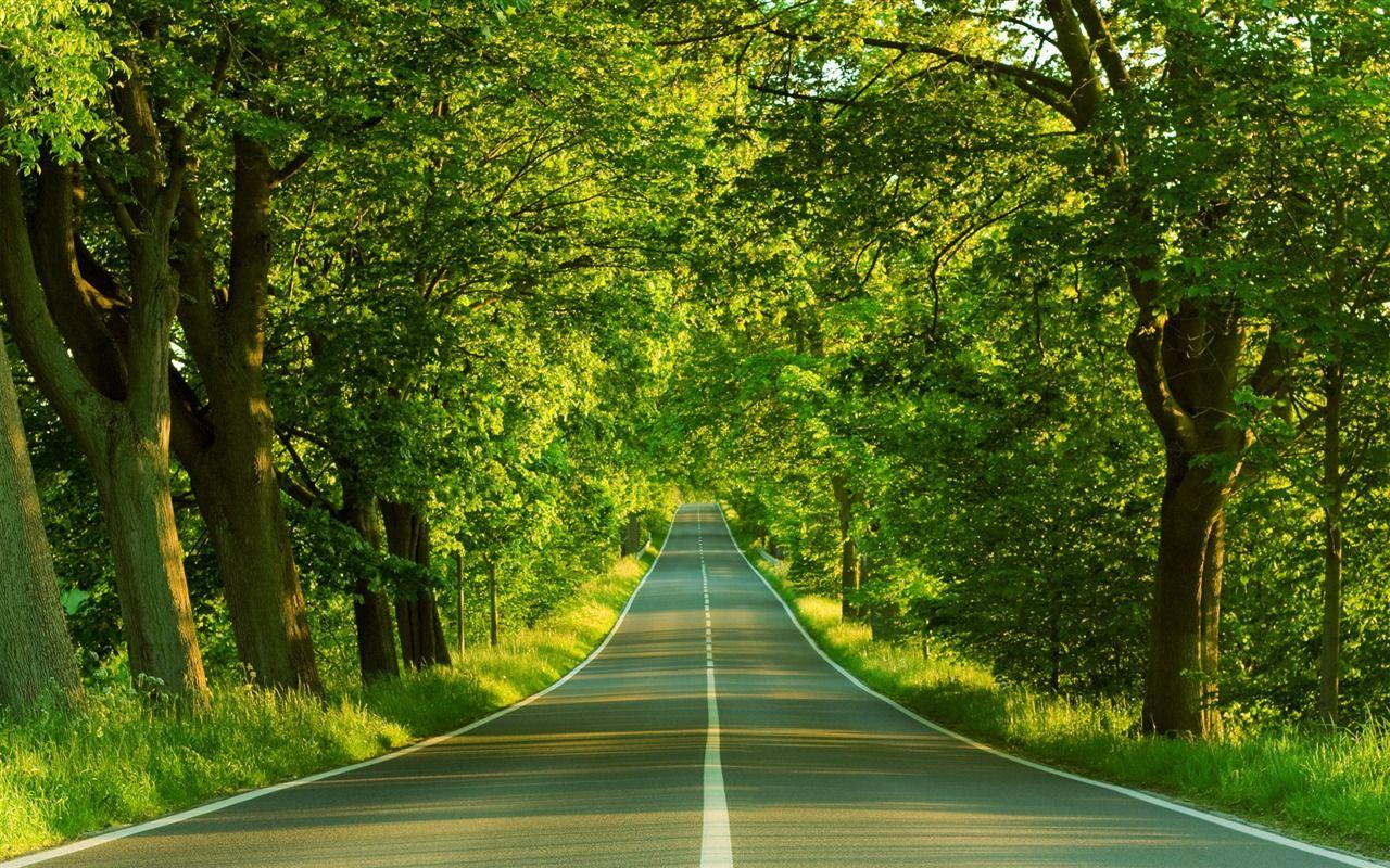 1280x800 New Zealand Nature Wallpaper (2) Wallpaper Download