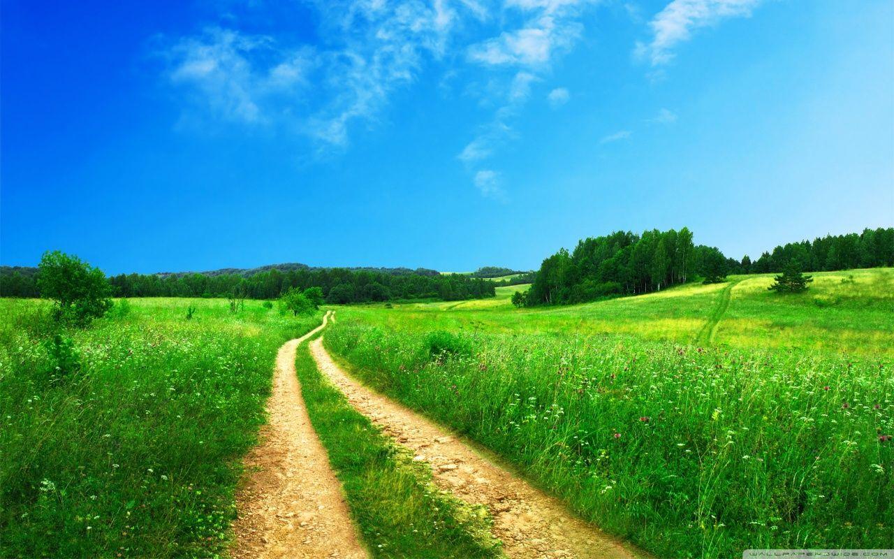 1280x800 Scenery Of Nature Ultra HD Desktop Background Wallpaper for 4K UHD