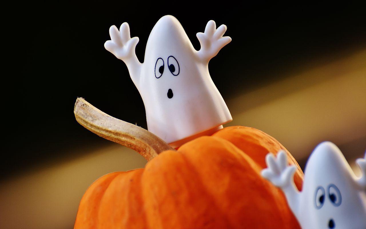 1280x800 Download wallpaper 1280x800 halloween, pumpkins, ghosts, toys