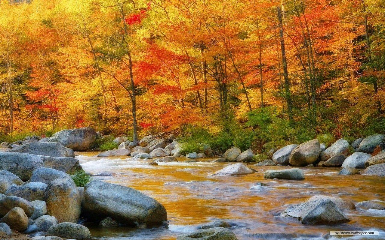 1280x800 Wallpaper Lovely Nature S HD Wallpaper This Week