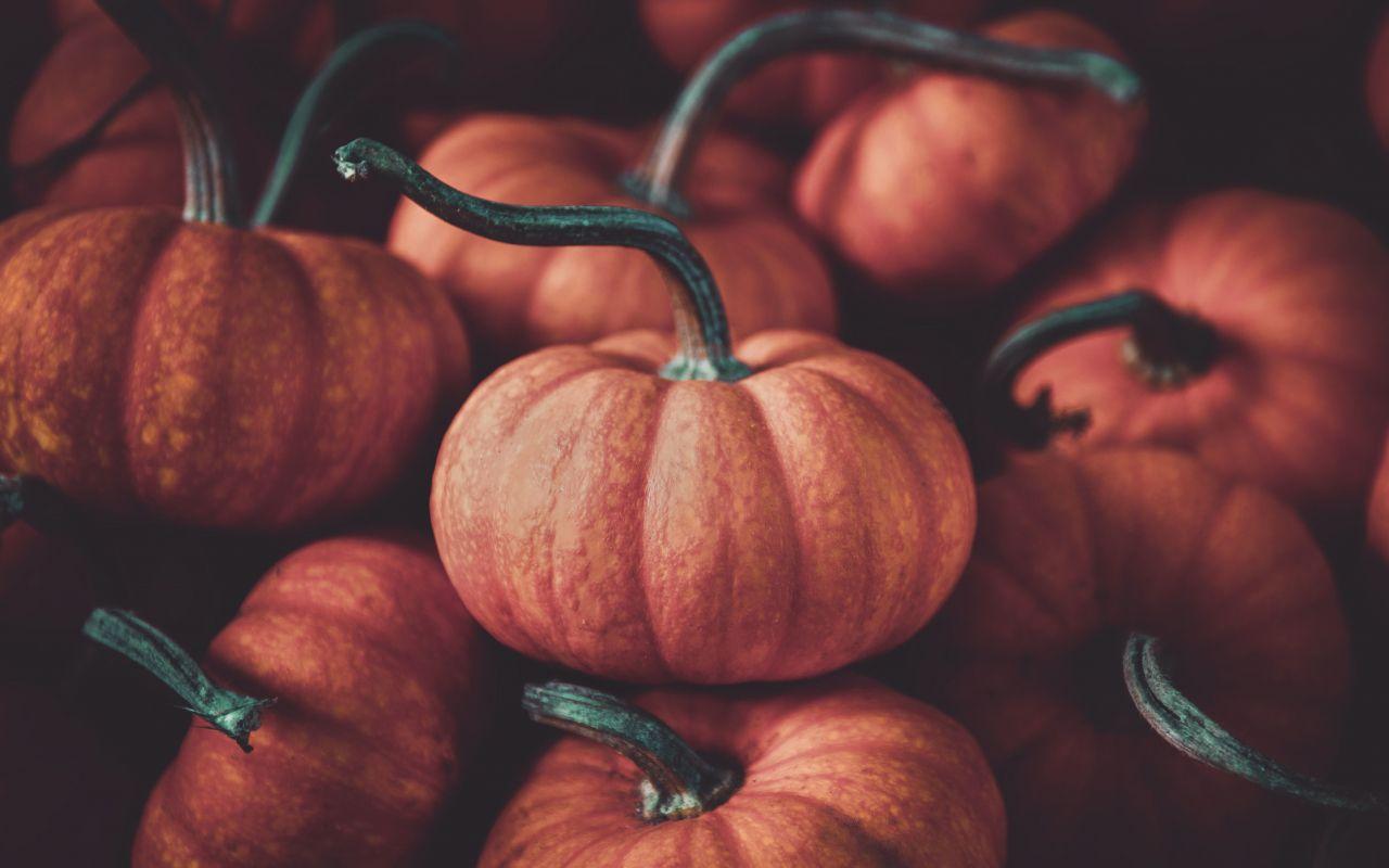 1280x800 Download 1280x800 wallpaper halloween, pumpkin, fruits, full HD