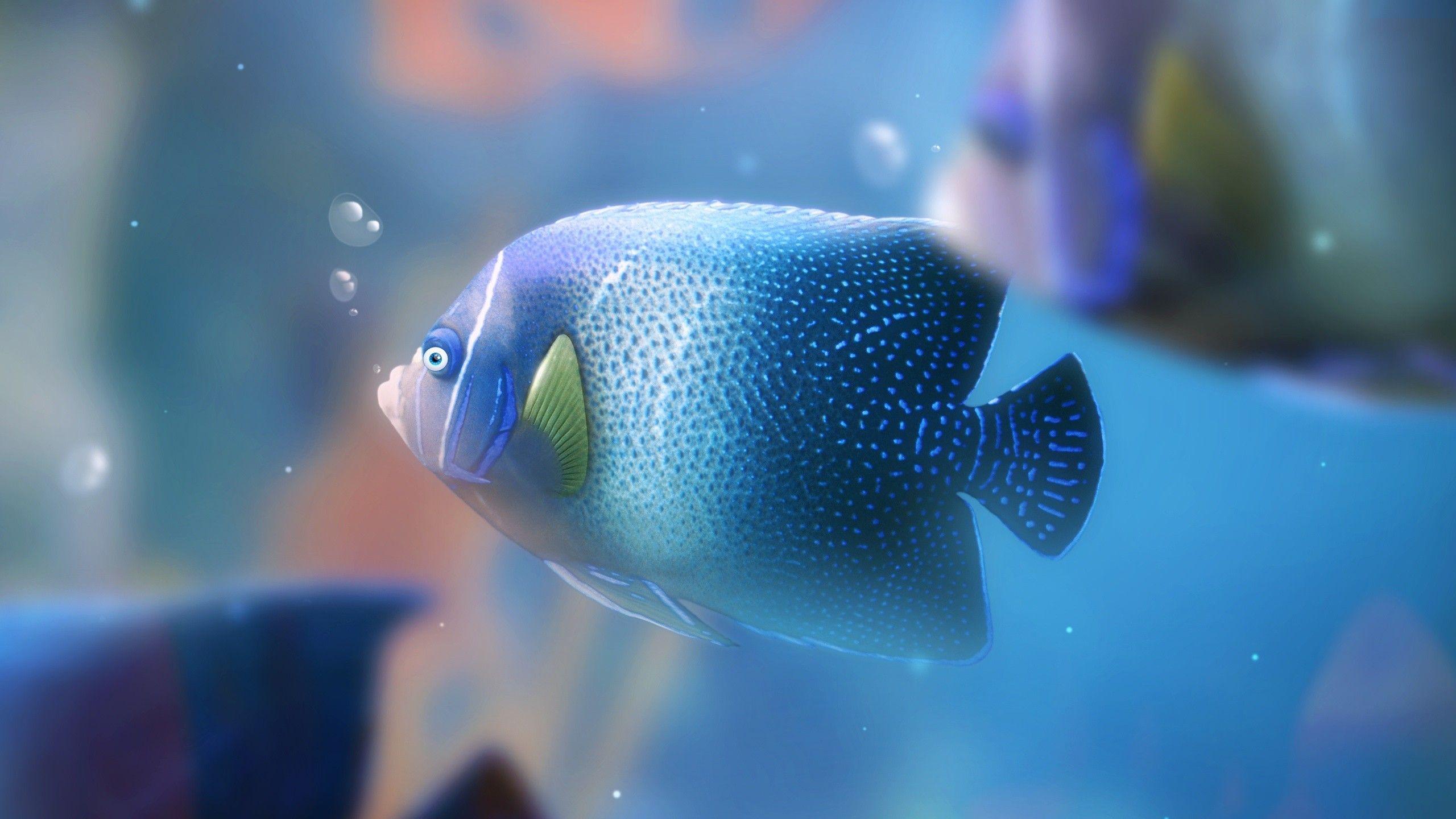 2560x1440 2k UltraHD Aquarium Background Desktop Wallpaper Amazing Cool Colourful Free Best Display Picture 2560x1440