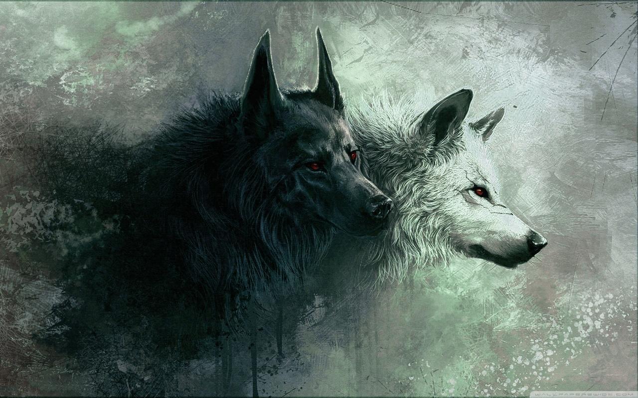 1280x800 HD Wallpaper (1280x800 px, 0.48 Mb)