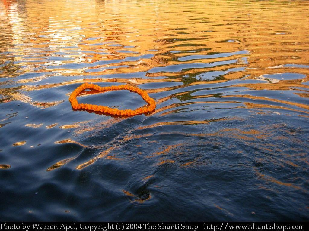 1024x768 A Marigold Wreath Floats In The Waters Of The Holy Ganga