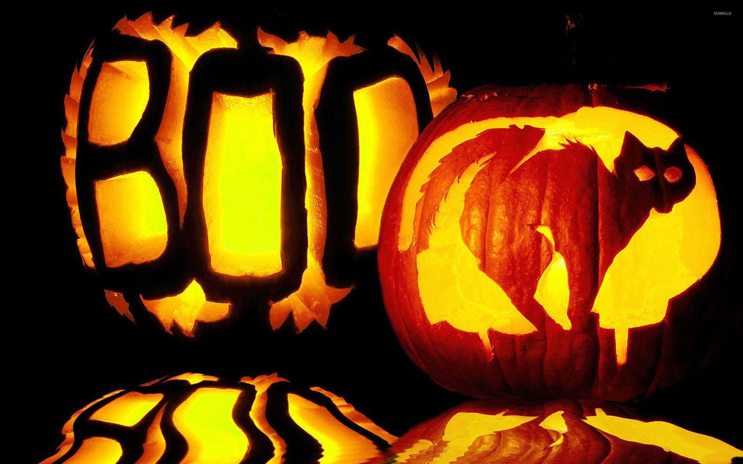 2560x1600 Cat And Boo Jack O' Lanterns Wallpaper Wallpaper