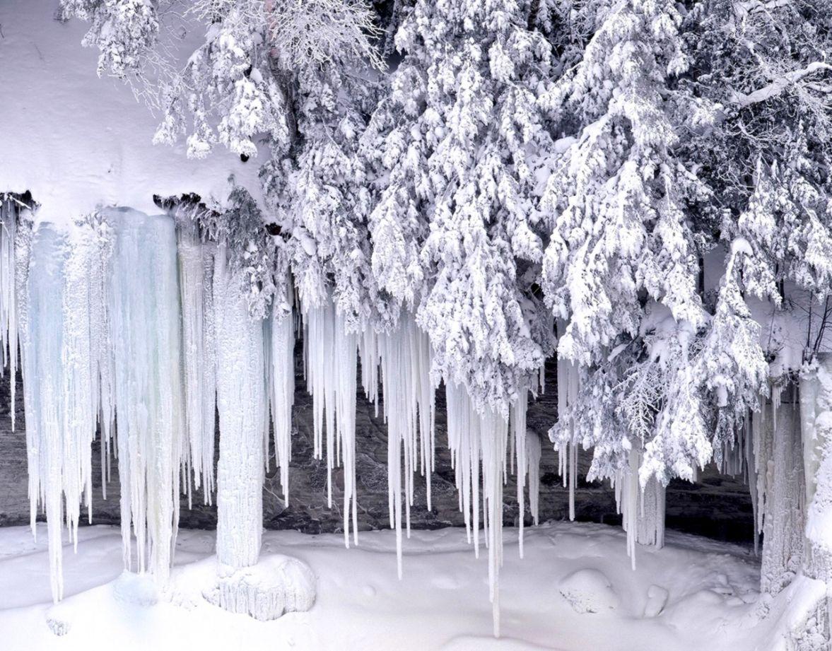 1177x921 Winter Scene Desktop Background Free