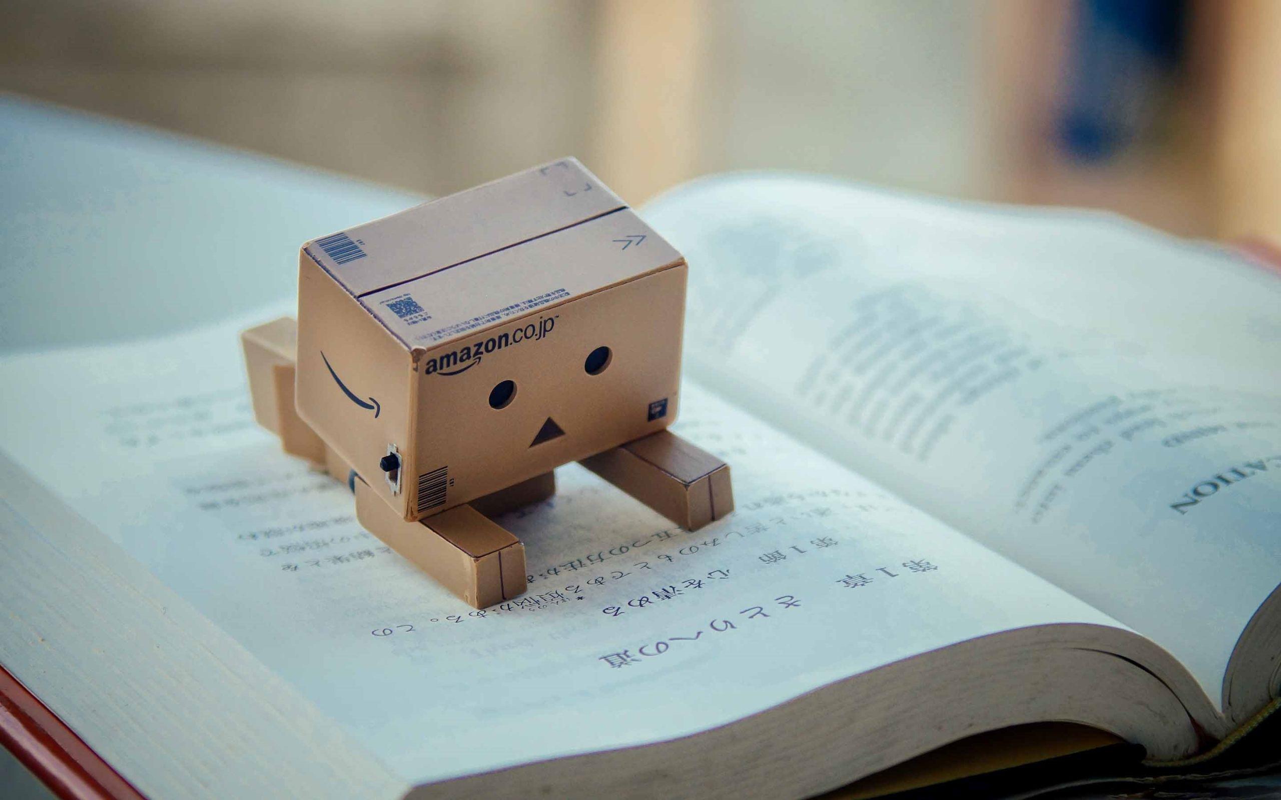 2560x1600 Danbo Reading Book Mac Wallpaper Download