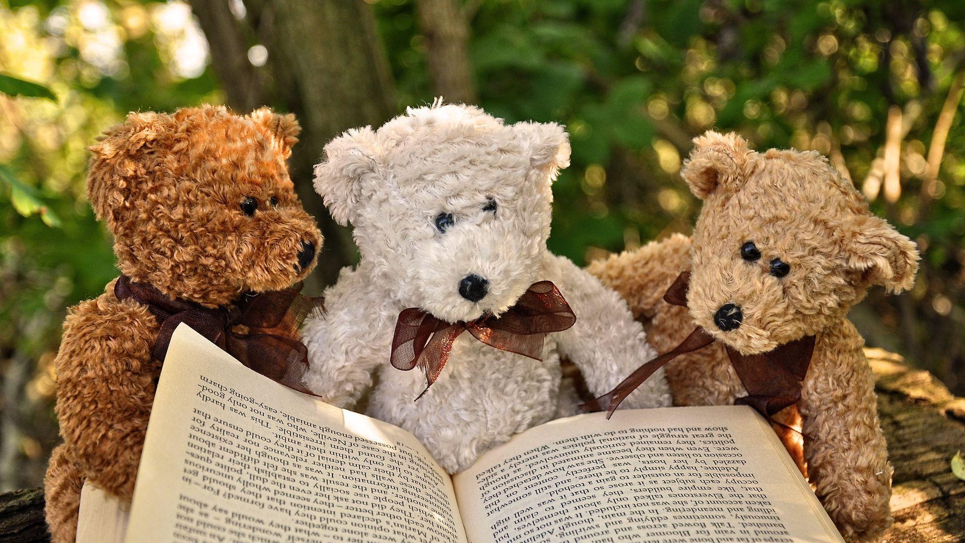 1920x1080 Teddy Bear Reading Book Wallpaper