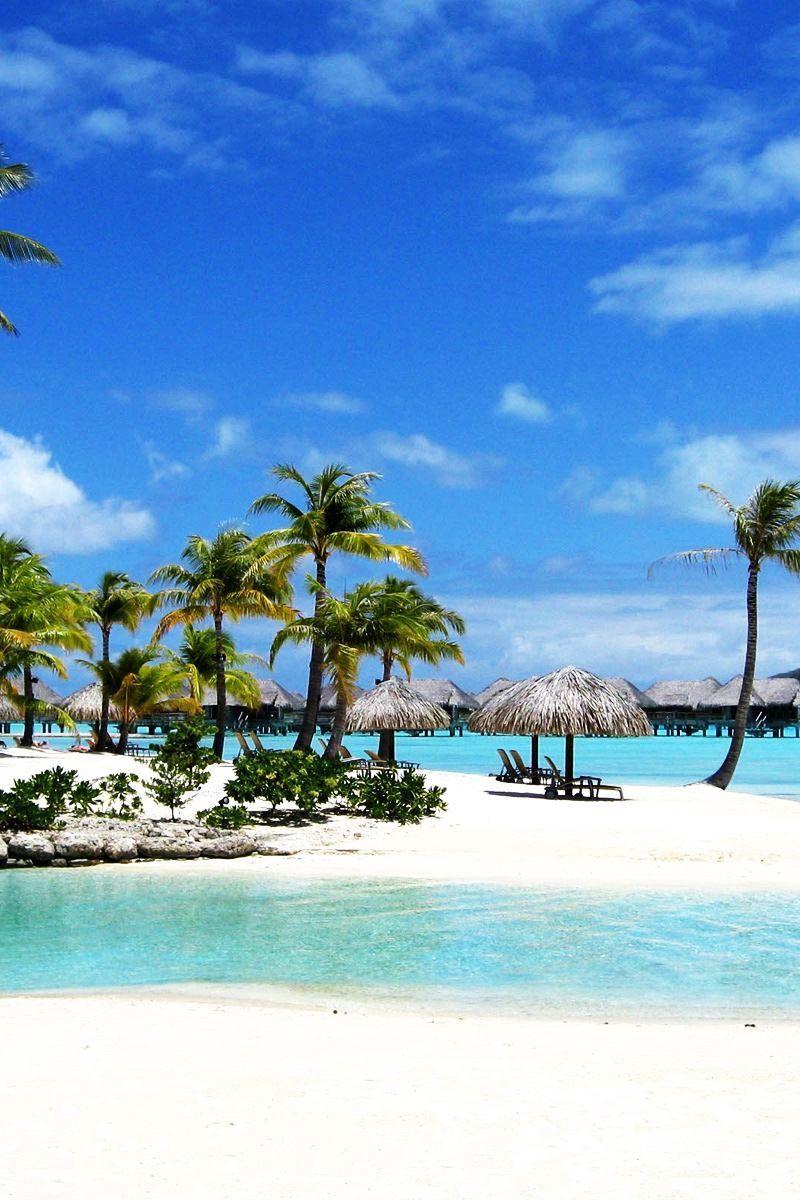 800x1200 Download wallpaper 800x1200 bora bora, island, palm trees, gulf