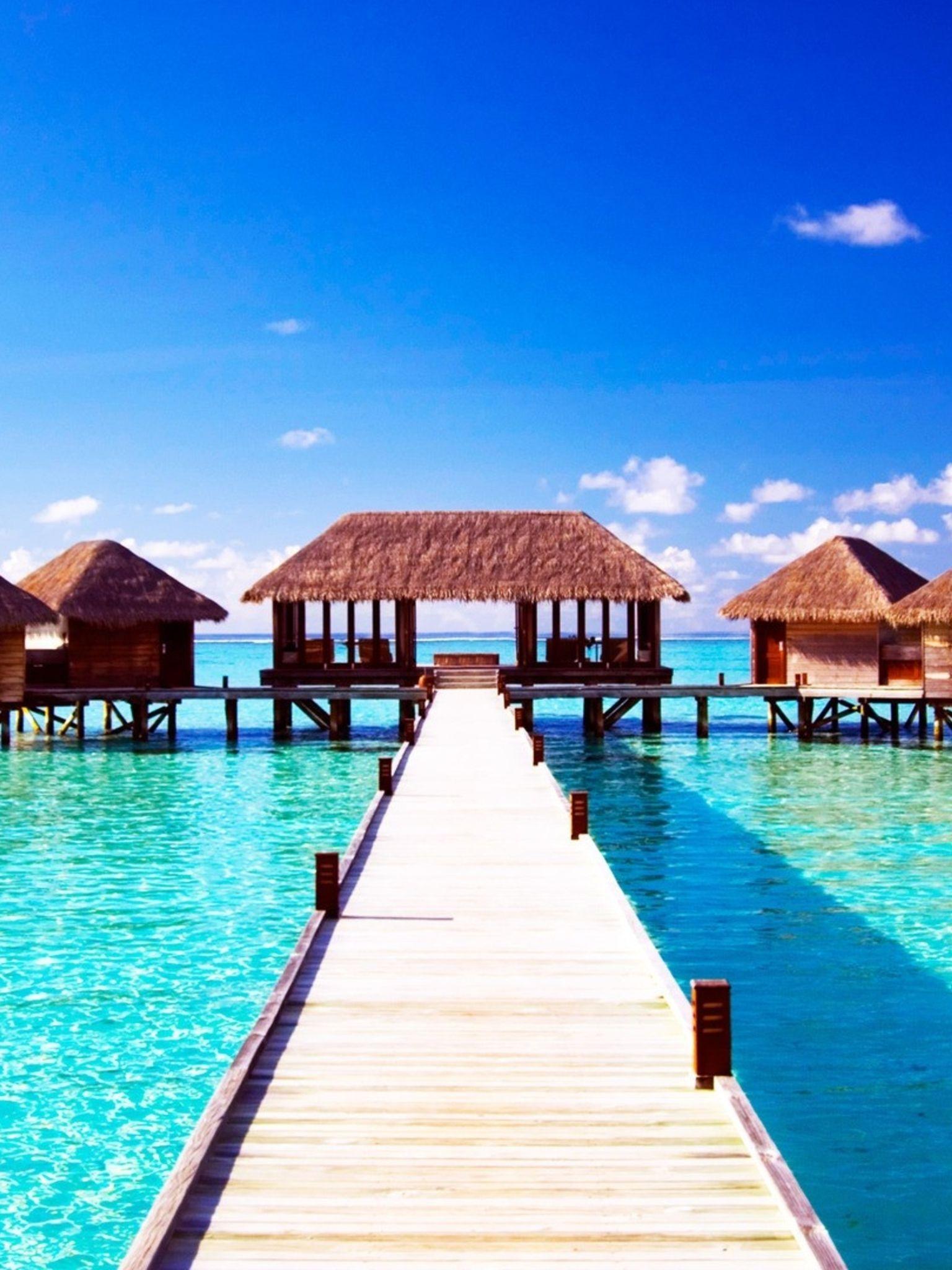 1536x2048 Free download Summer Wallpaper Tumblr iPhone Desktop Background