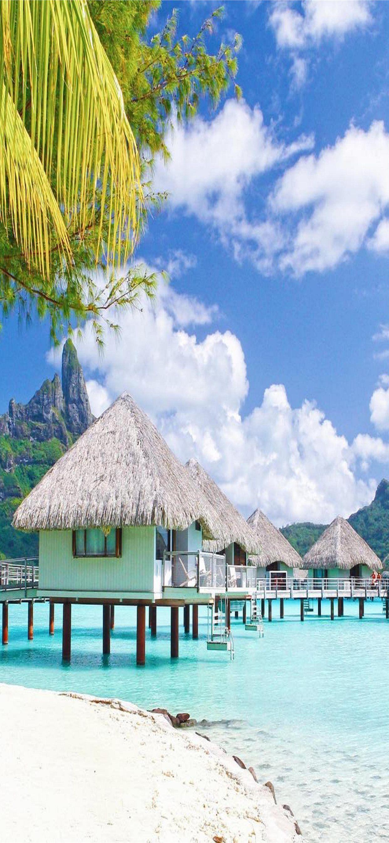 1242x2688 Bora Bora iPhone Wallpaper Free Download