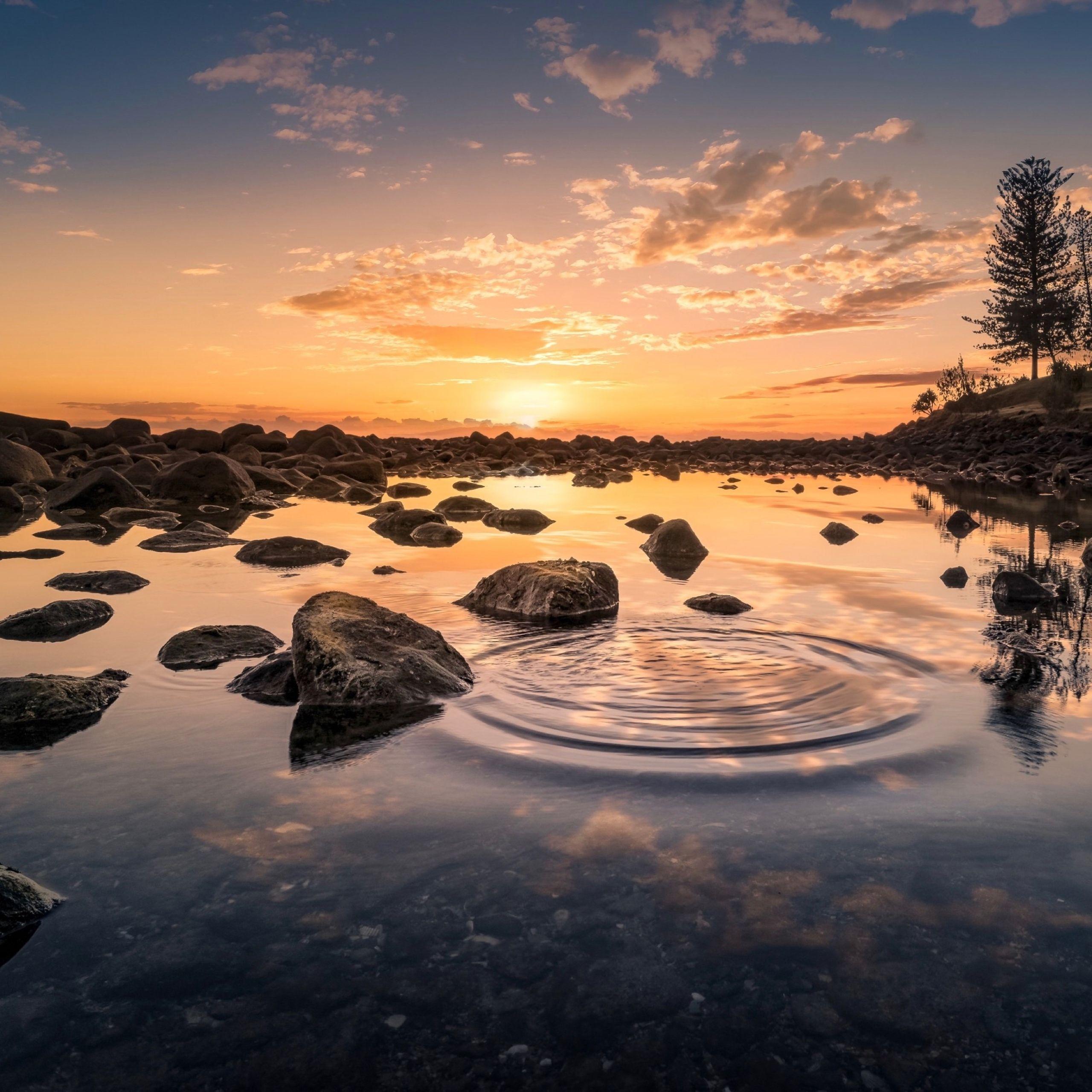 2560x2560 Wallpaper Weekends: Sunshine Wallpaper for iPhone, iPad, & Mac