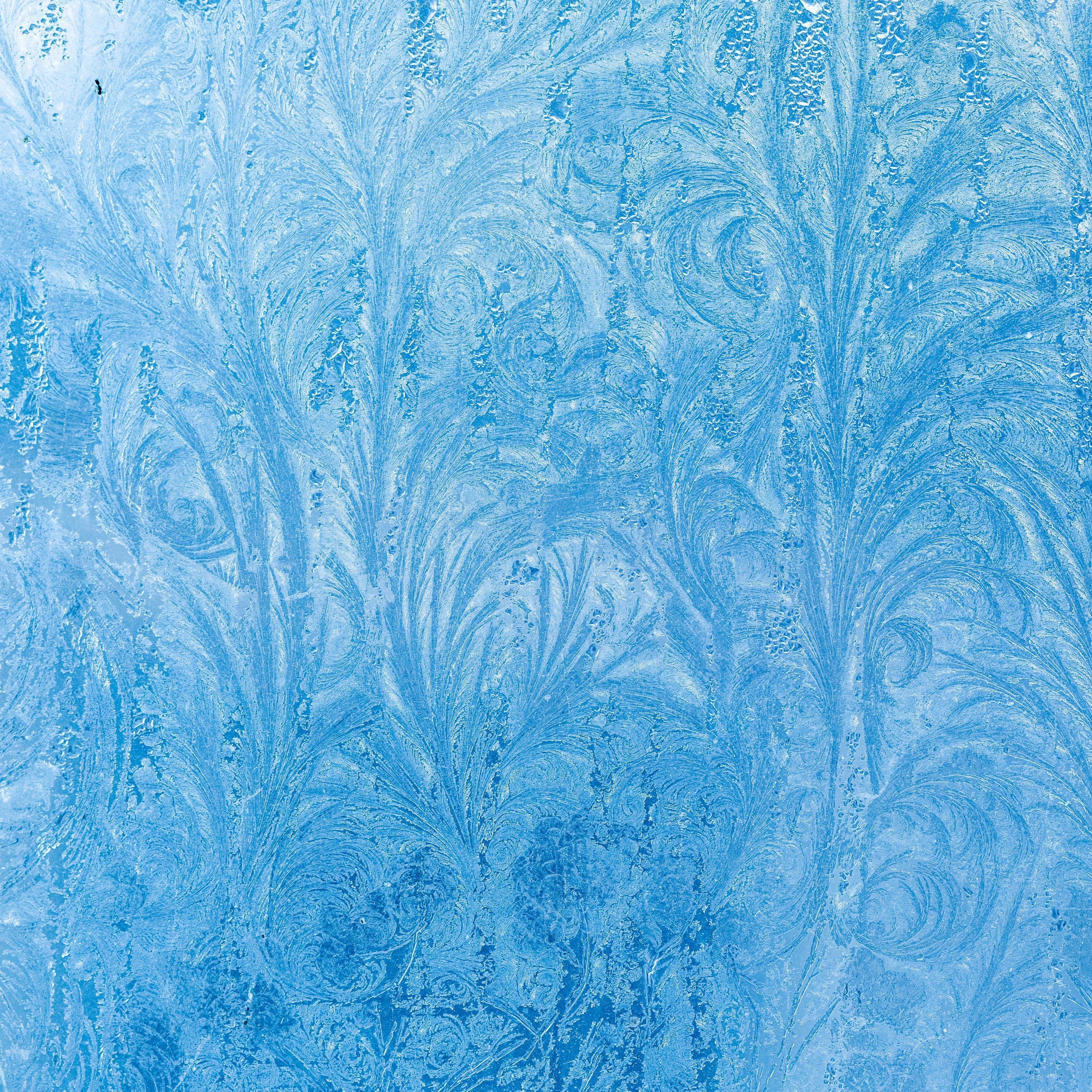3415x3415 Download wallpaper 3415x3415 frost, pattern, glass, winter, snow