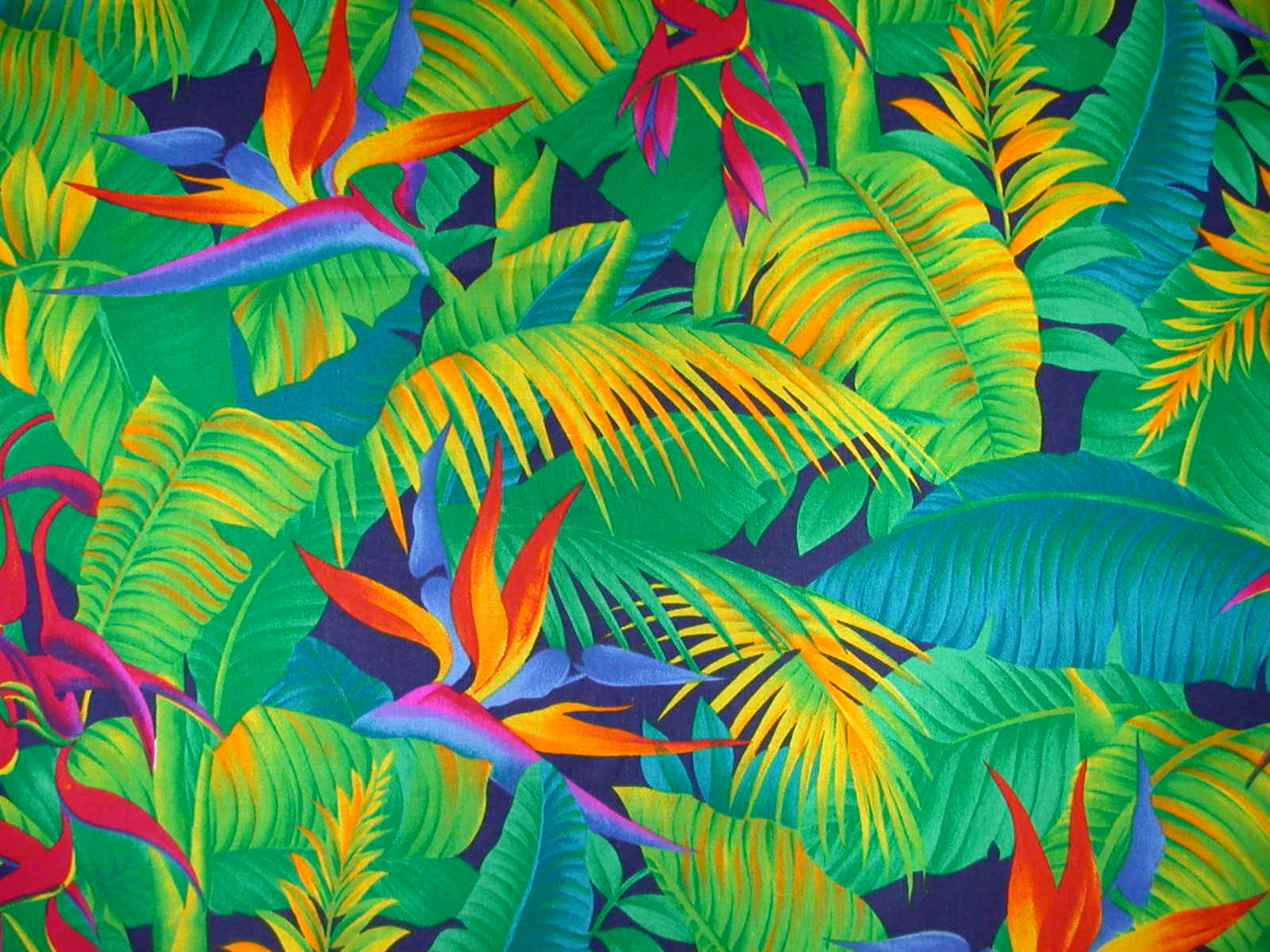 Tropical Pattern Wallpapers Top Free Tropical Pattern Backgrounds