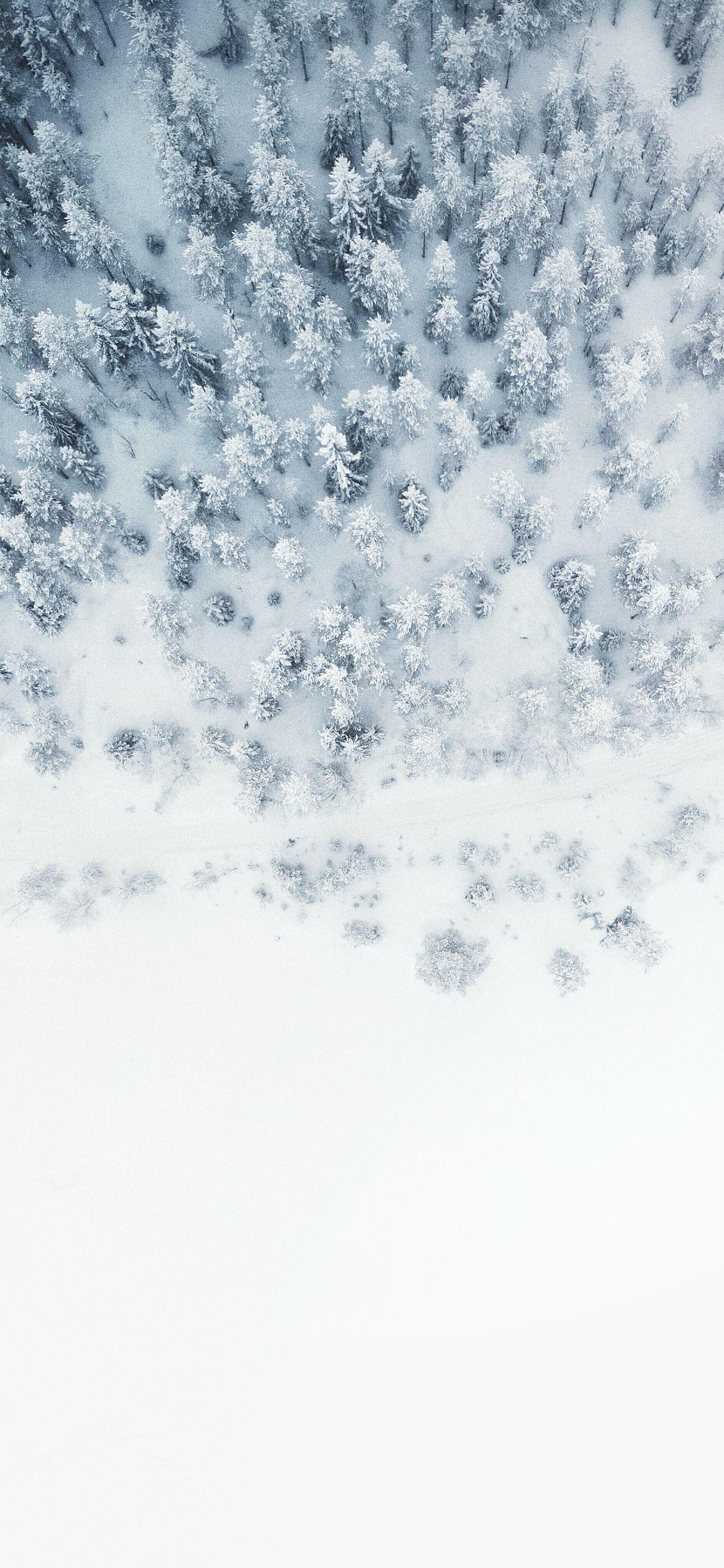 1242x2688 The beginning of winter wallpaper for iPhone