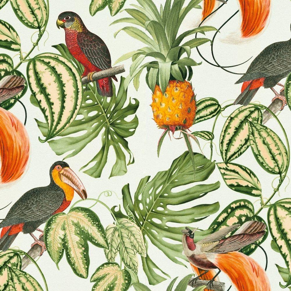 1000x1000 Erismann Paradiso Tropical Bird Pattern Wallpaper Jungle Leaf