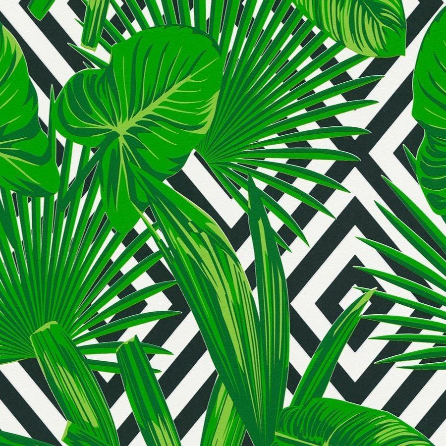 Green Tropical Wallpapers - Top Free Green Tropical Backgrounds -  WallpaperAccess