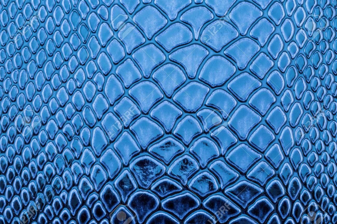 Blue Snake Wallpapers - Top Free Blue Snake Backgrounds - WallpaperAccess