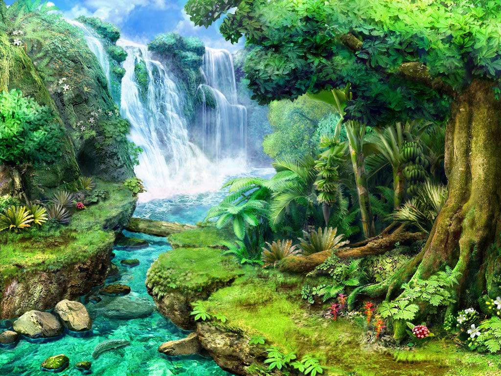 Tropical Rainforest Wallpapers Top Free Tropical Rainforest