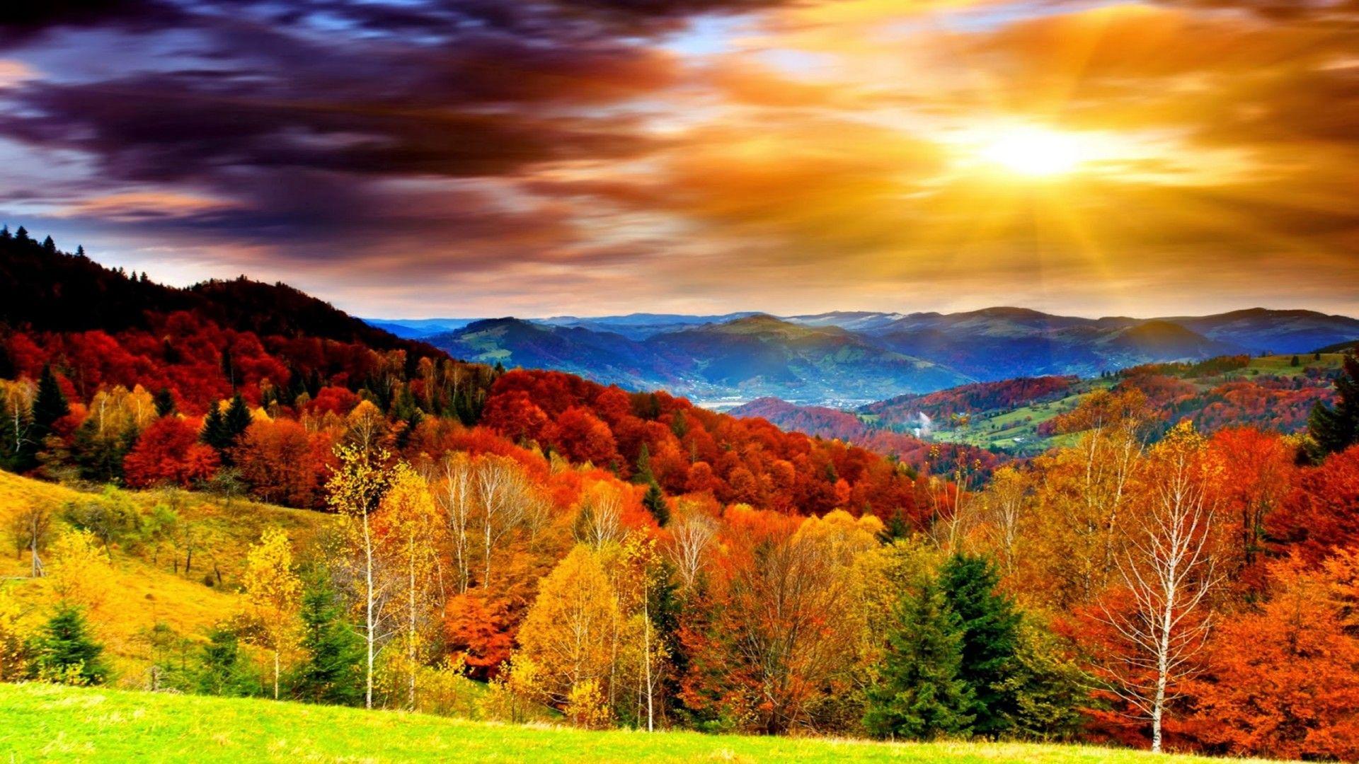 1920x1080 Widescreen Beautiful Scenery Nautre HD Desktop Wallpaper Beautiful