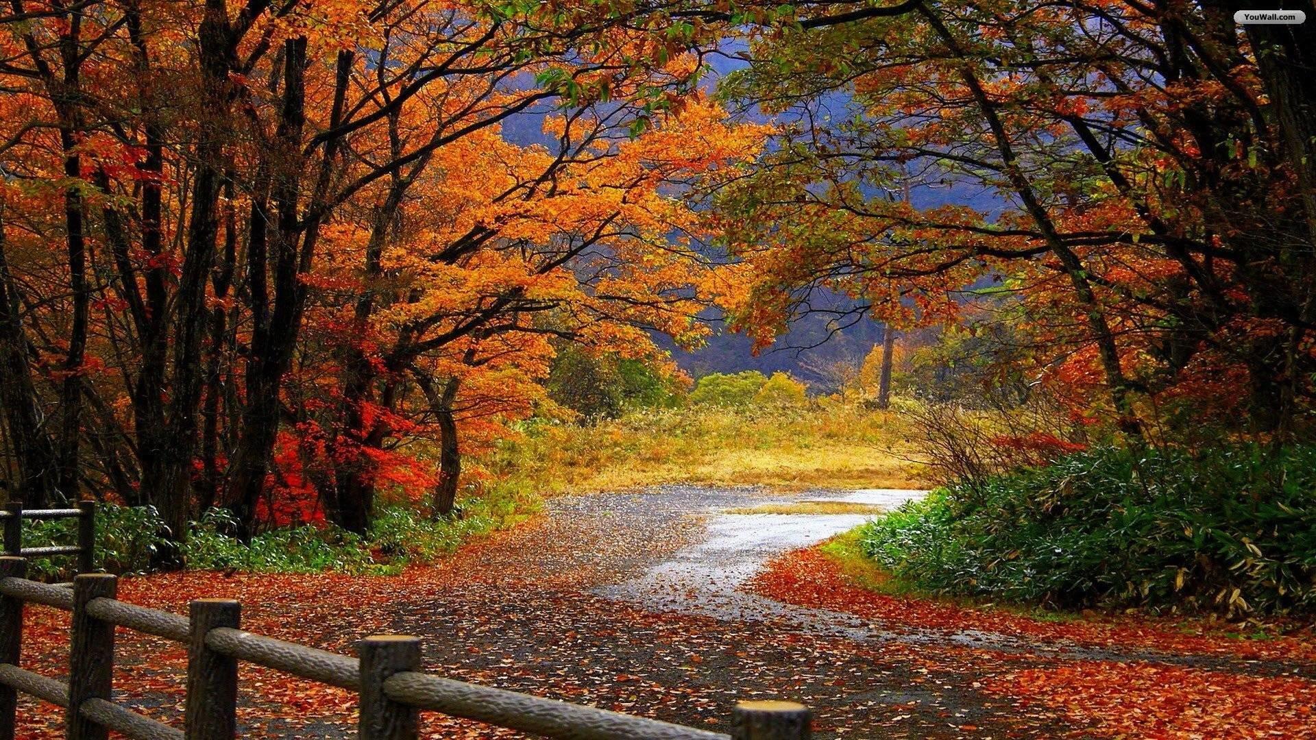 1920x1080 Fall Scenery wallpaper wallpaper Collections