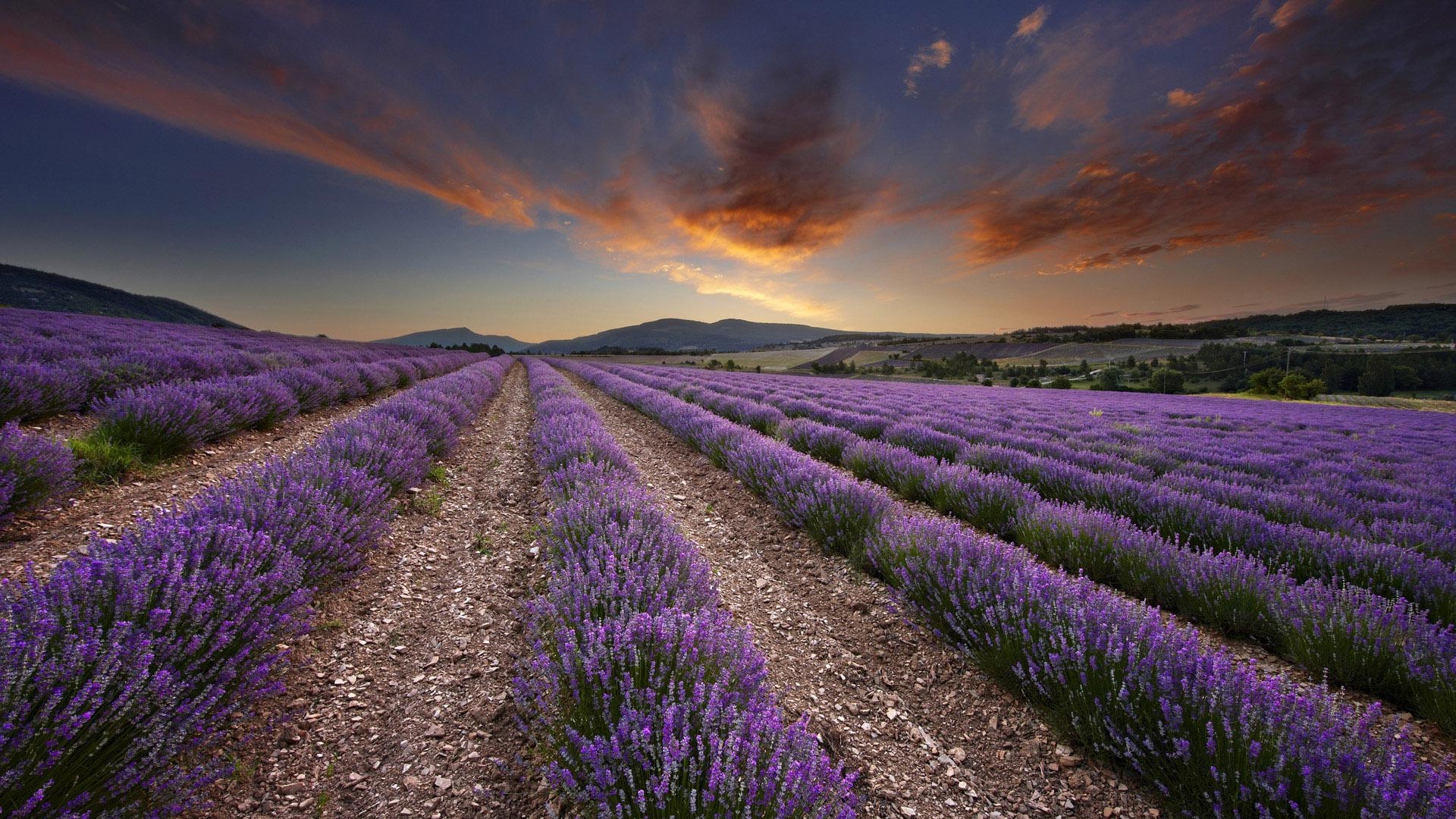 1920x1080 HD Scenic Wallpaper