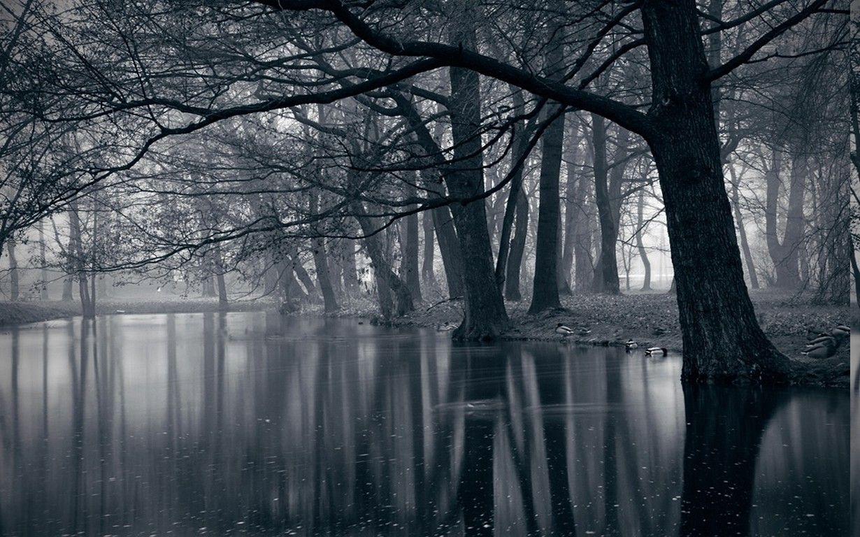 Dark Lake Wallpapers Top Free Dark Lake Backgrounds WallpaperAccess