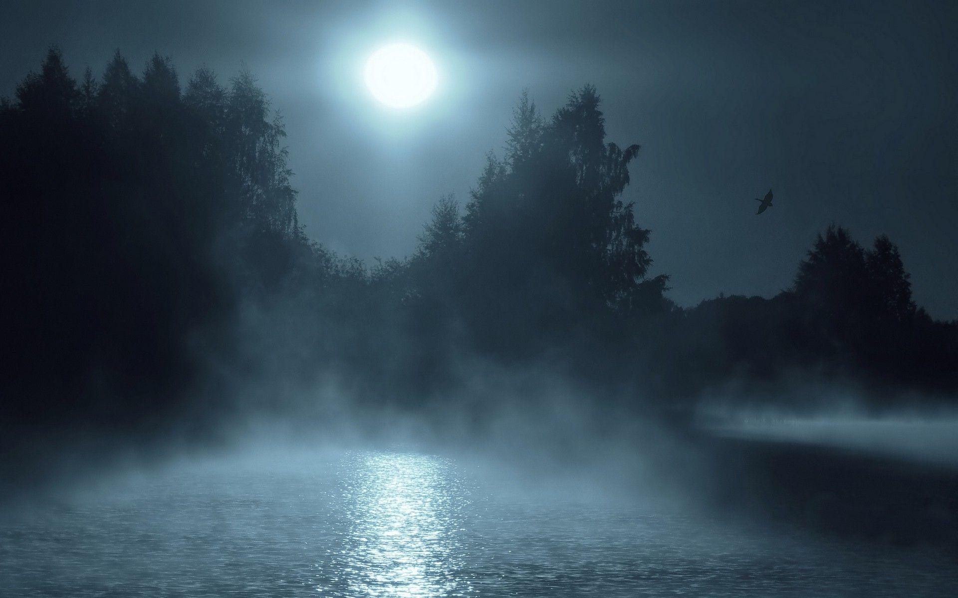 Dark Lake Wallpapers Top Free Dark Lake Backgrounds WallpaperAccess