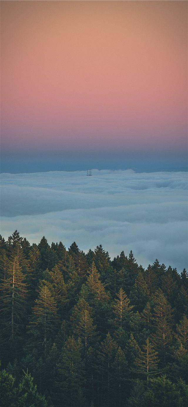 640x1385 horizon iPhone X wallpaper. Bright .com