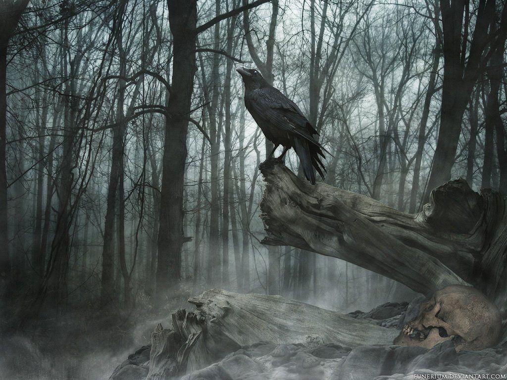1024x768 Grave s wallpaperx768
