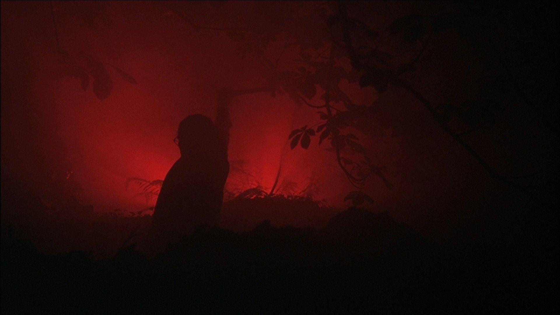 1920x1080 Shallow Grave HD Wallpaper