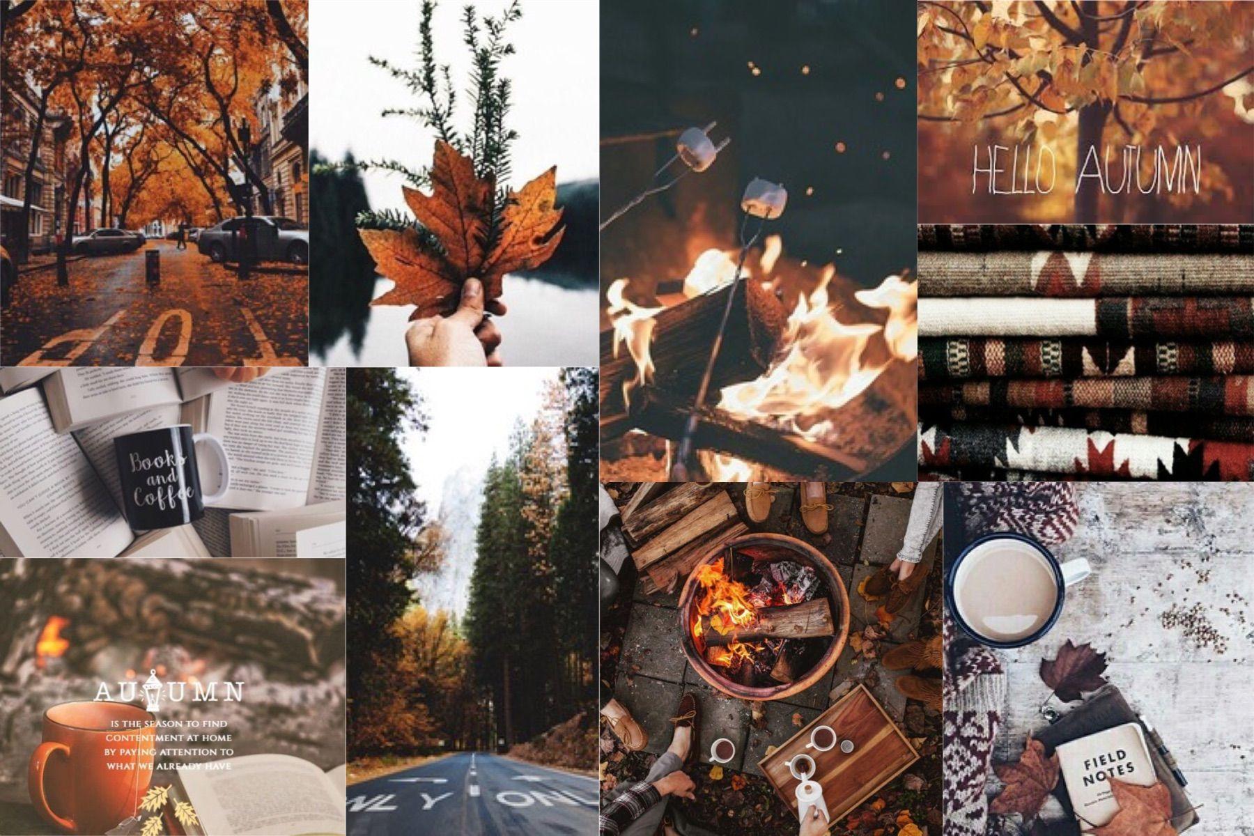 1800x1200 Autumn