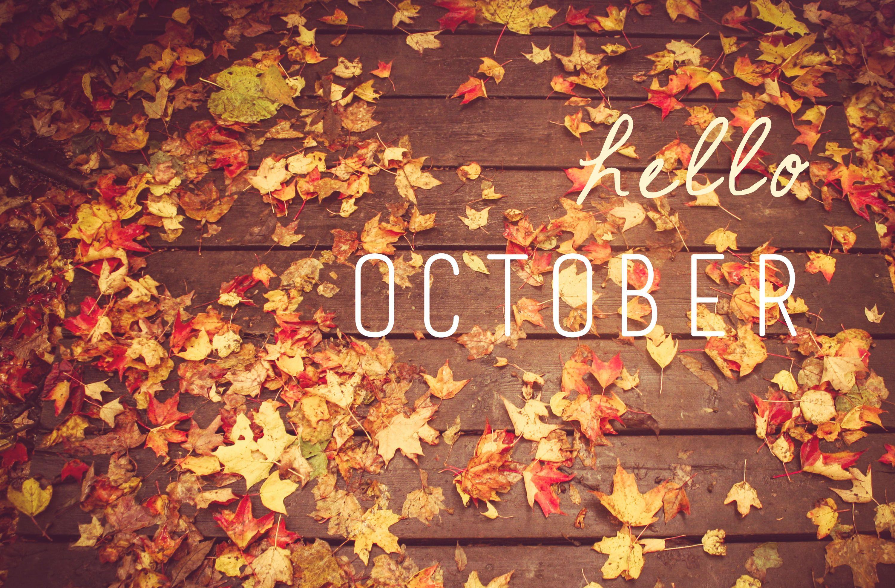 2996x1968 High Quality October Wallpaper. Full HD Picture