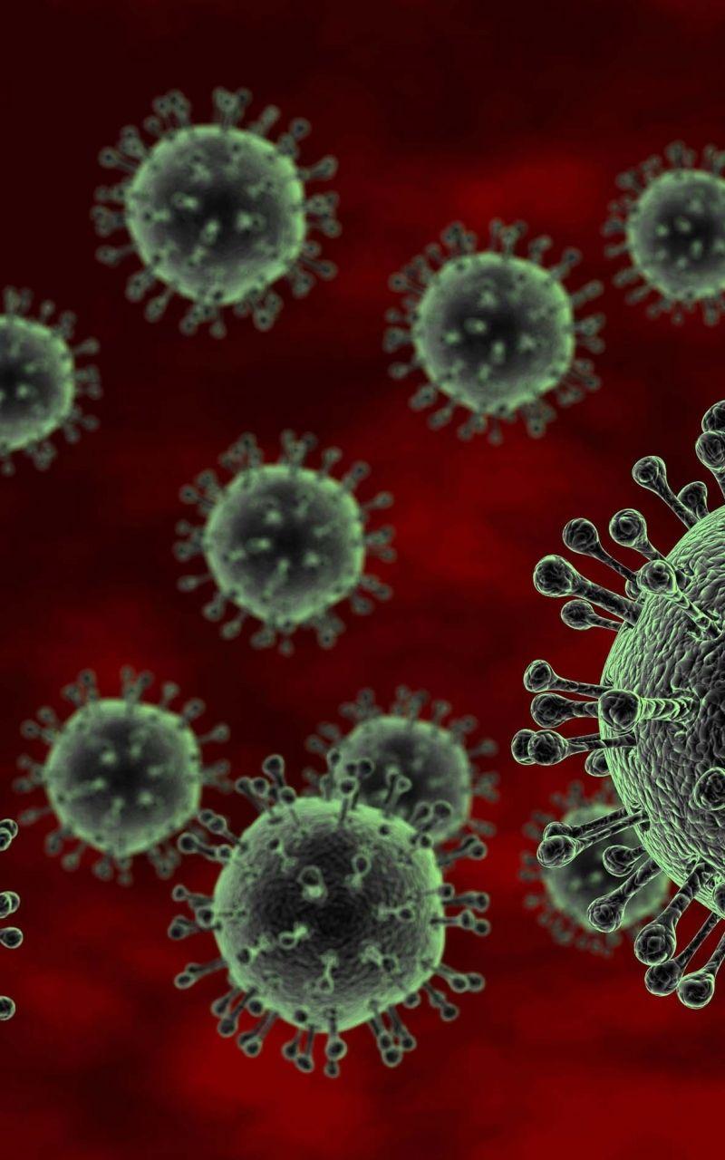 800x1280 Free download flu Virus Medical Disease Wallpaper HD Desktop