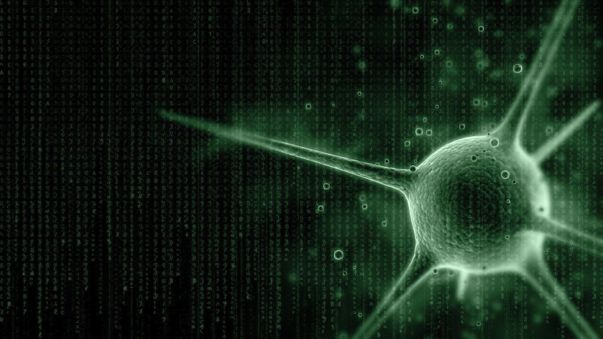 1920x1080 Computer virus wallpaper