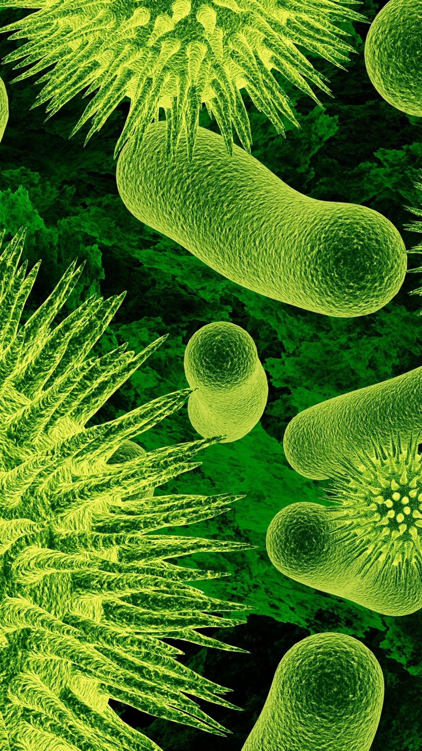 Бактерии вирусы грибы биология. Вирусы и микробы. Вирусы бактерии микробы. Вирусы бактерии микроорганизмы. Микроорганизмы фото.