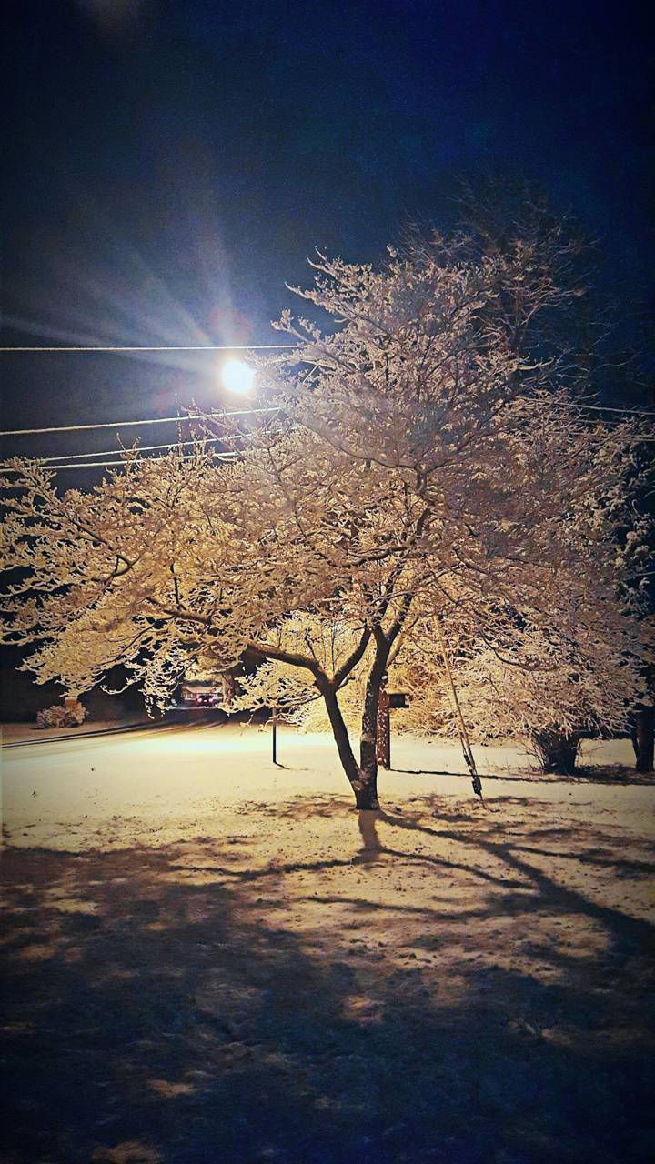 720x1280 New England Winter wallpaper