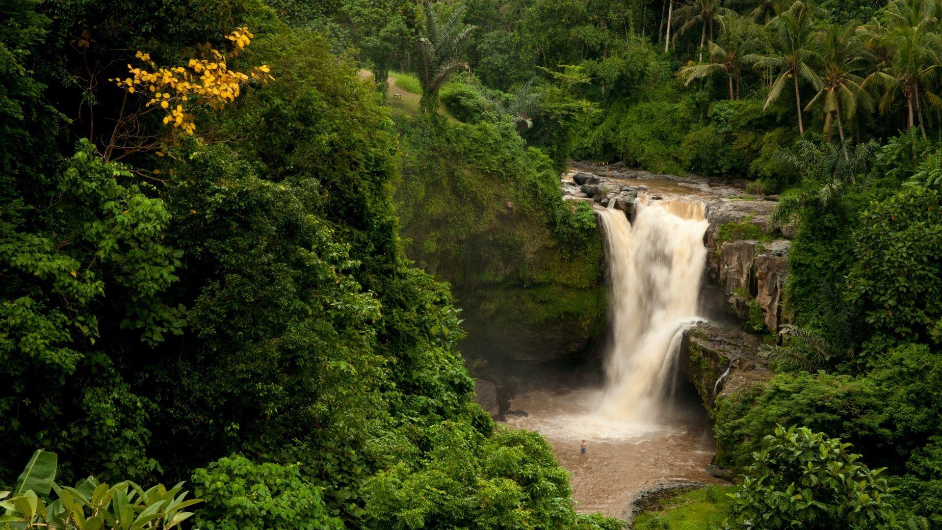 1920x1080 Bali hình nền https://wallpaperaccess.com/full/2882707.jpg