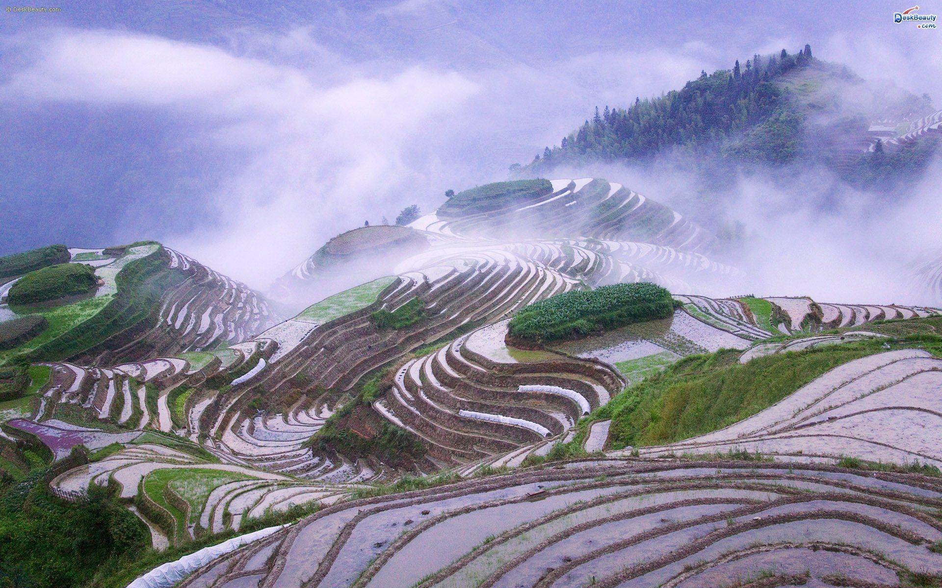 1920x1200 Hình nền thiên nhiên tuyệt vời ở Indonesia https://wallpaperaccess.com/full/2882709.jpg