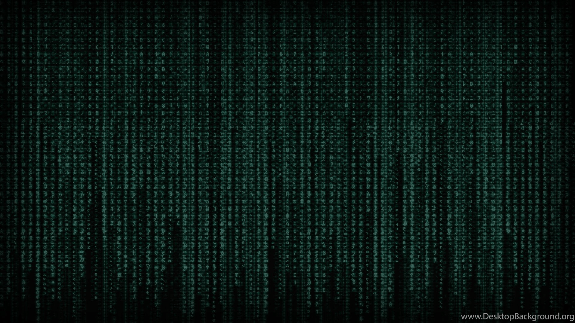 1920x1080 Matrix Wallpaper