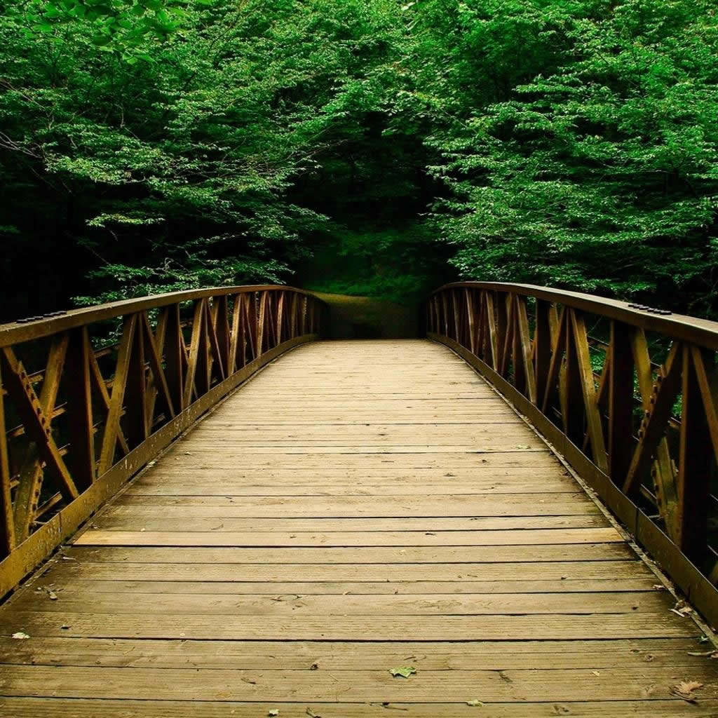 1024x1024 Nature Wallpaper For iPad High Resolution Background Forest Bridges