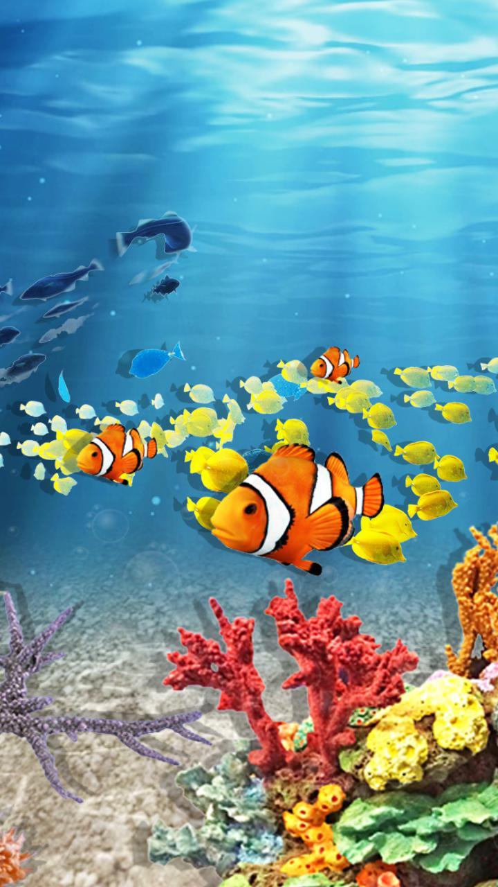 Under The Sea Wallpapers - Top Free Under The Sea Backgrounds