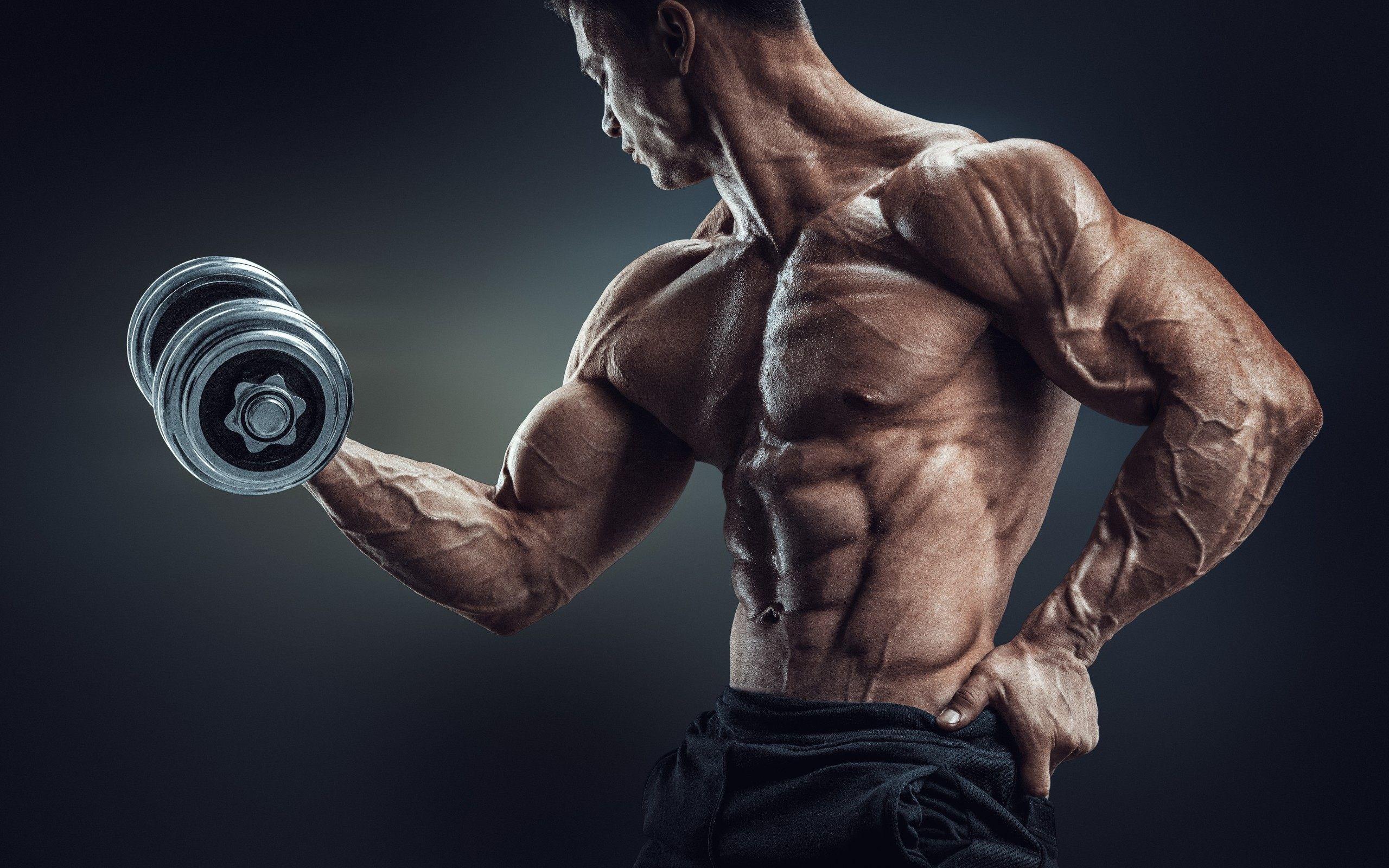 2560x1600 Bodybuilder Wallpaper, 39 Full HD Bodybuilder Image (In HD, ERU)