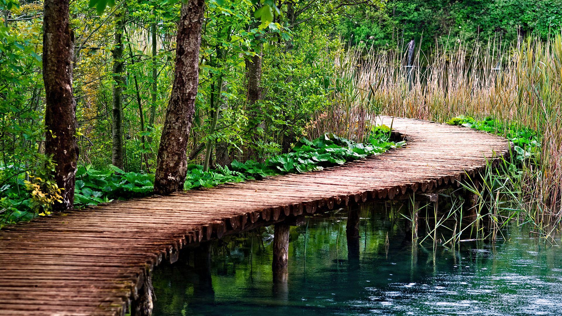 1920x1080 Boardwalk Full HD Wallpaper and Background Imagex1080