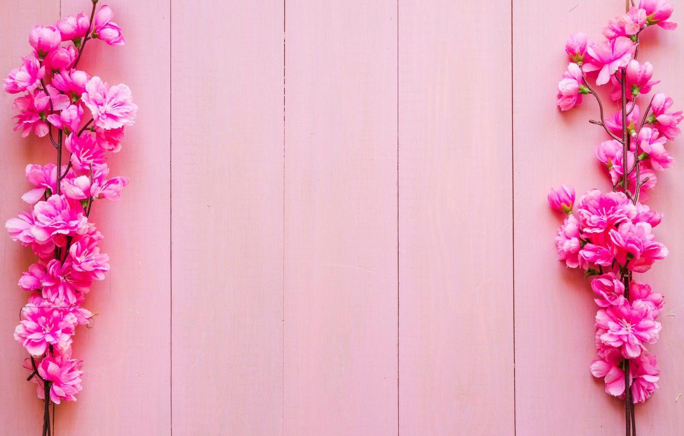 1332x850 Wallpaper flowers, branches, background, pink, wood, pink, blossom