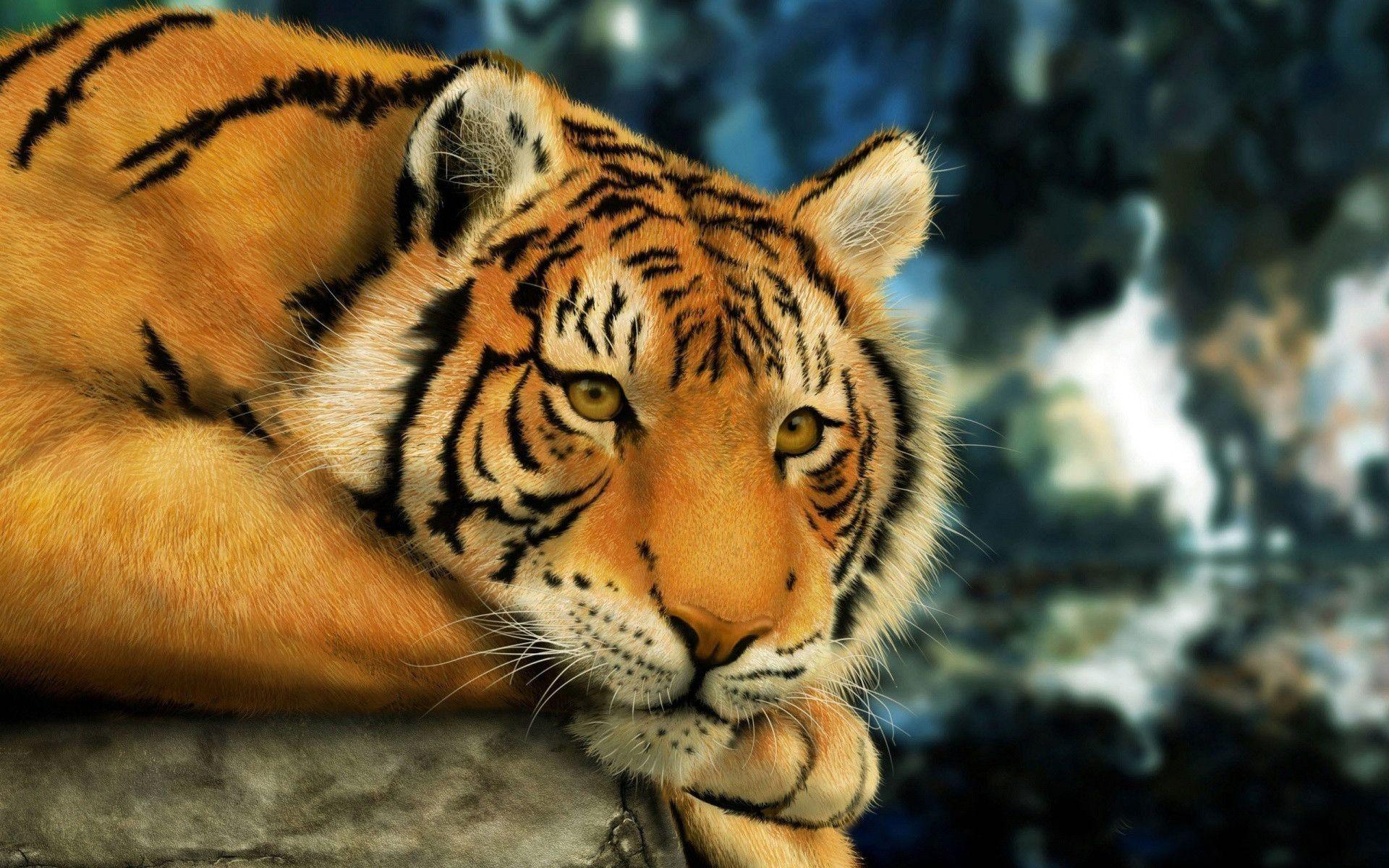 1920x1200 Tiger Wallpaper for Desktop