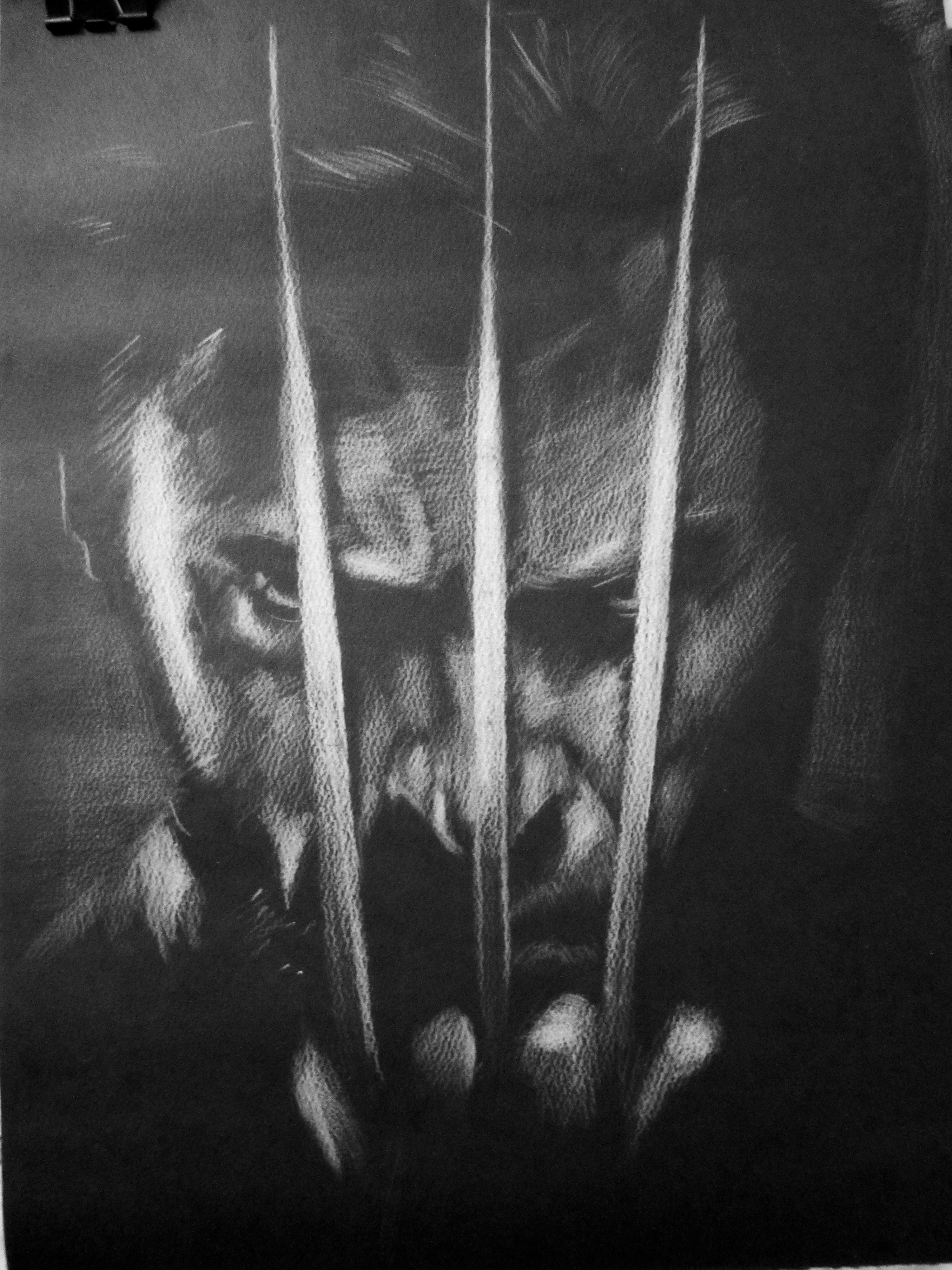 3000x4000 Wolverine