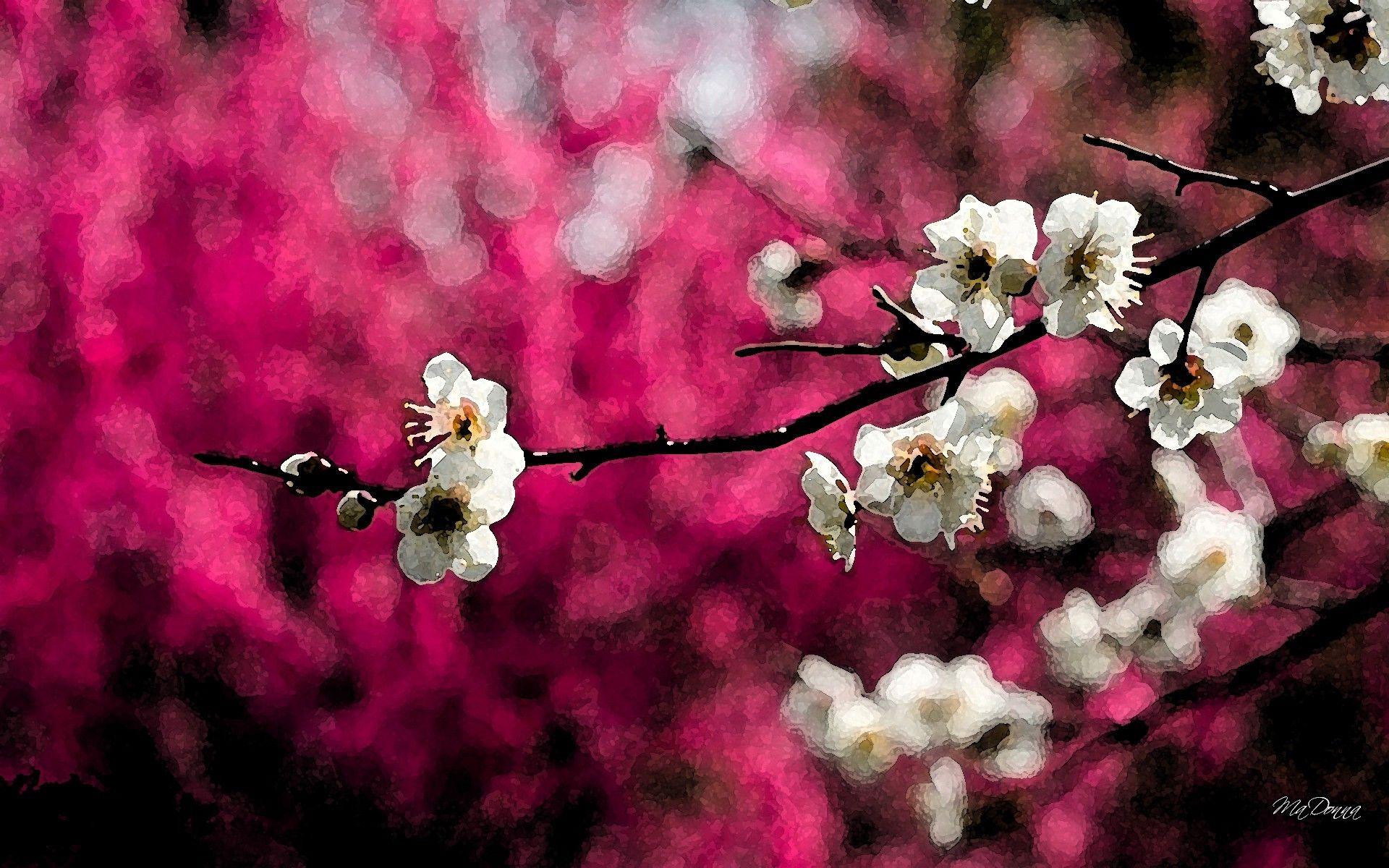 1920x1200 Flowers: Fragrant Spring Blooms Watercolor Magenta Apple Blossoms