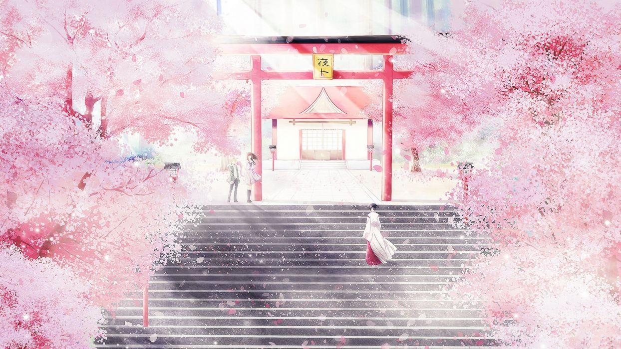 1244x700 Noragami cherry blossom cherry trees shrine wallpaperx1080