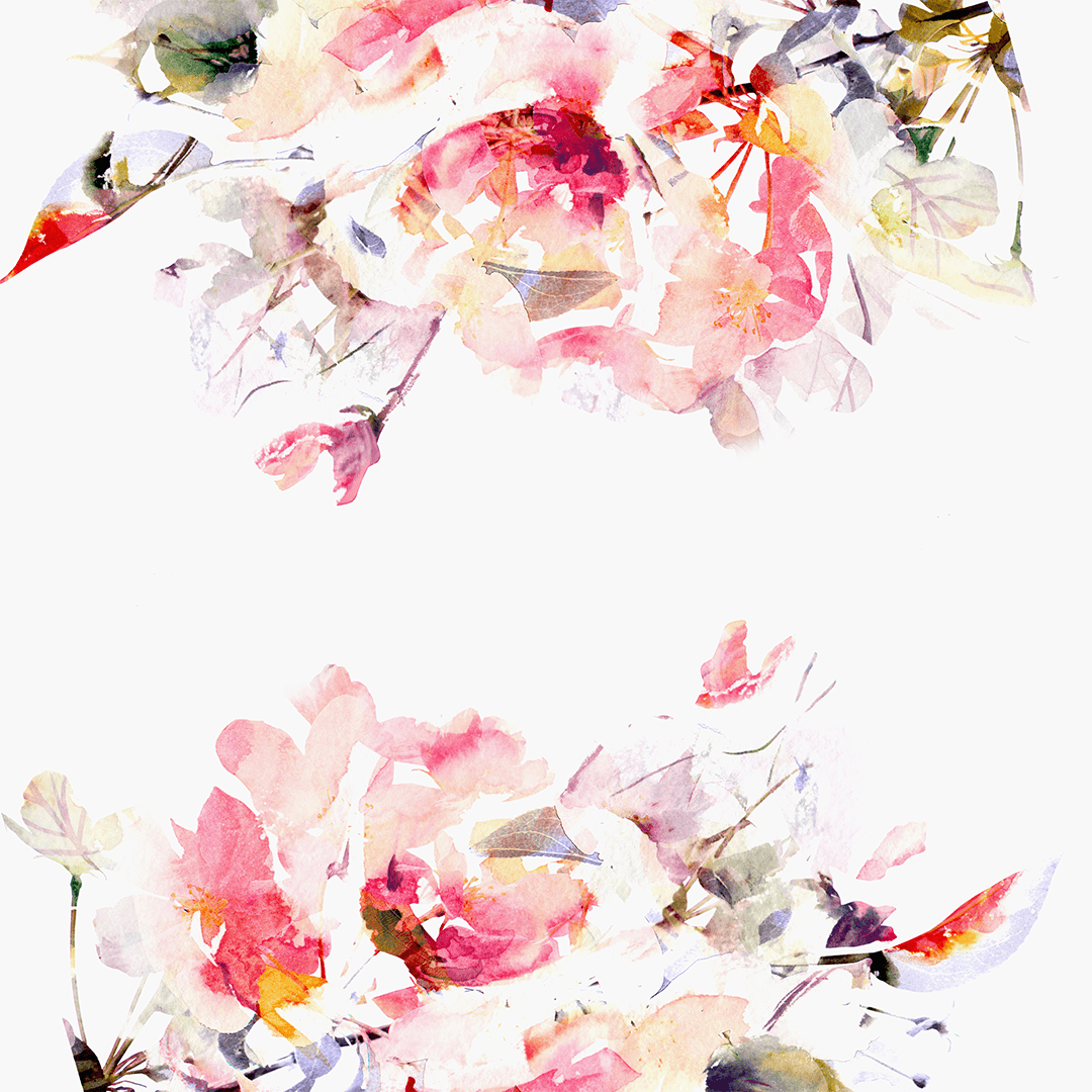 1080x1080 Hình nền hoa mùa xuân đương đại - Vườn ươm dự án https://wallpaperaccess.com/full/288717.png